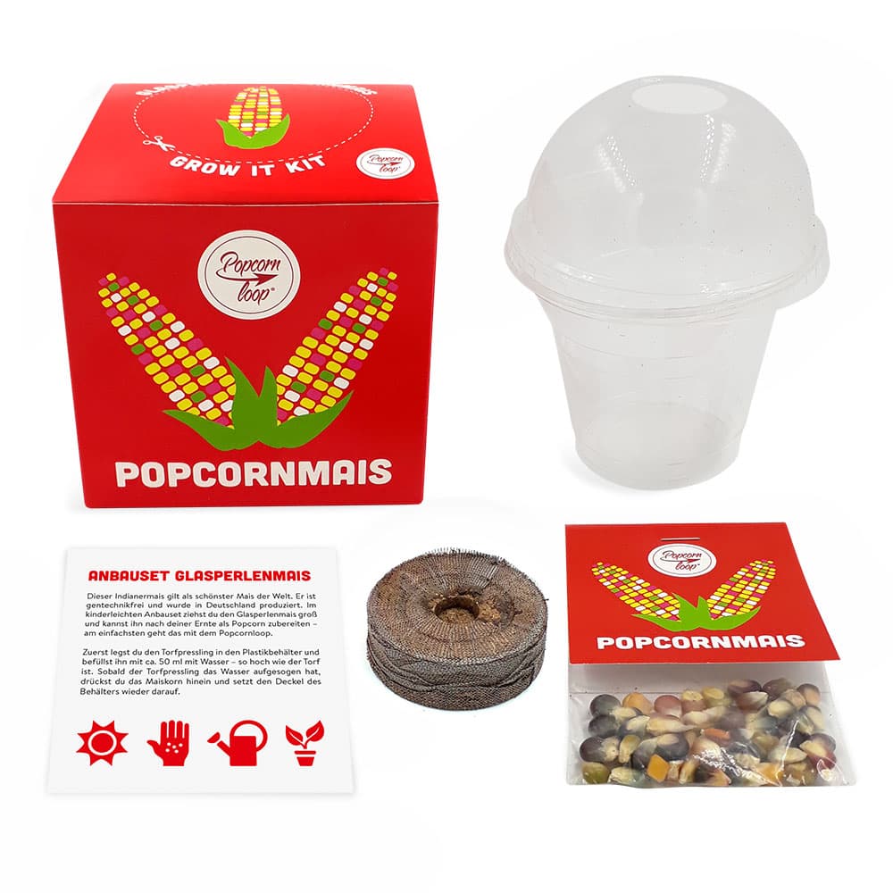 Maispflanze Anzuchtset