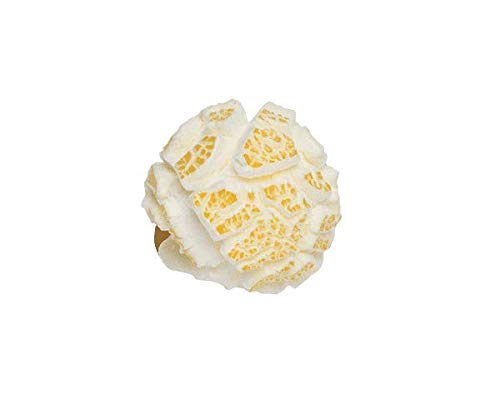 Popcorn Mais Mushroom 5 kg