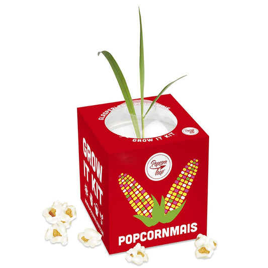 Corn plant growing kit