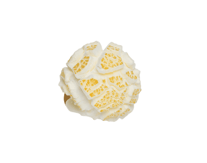 Popcorn Mais Mushroom