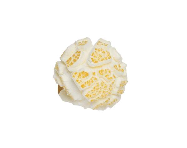 Popcorn Mais Mushroom