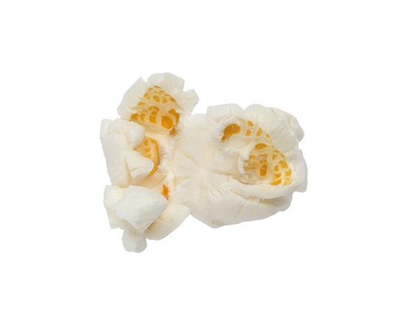 Popcorn Corn Butterfly
